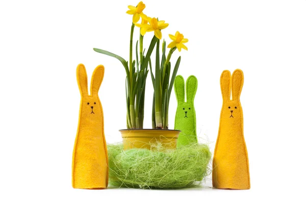 Yellow narcissus in the pot and three bunnies — Stock Photo, Image