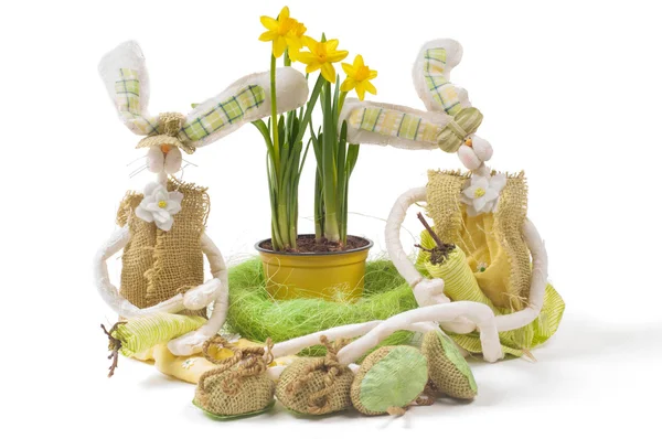 Easter bunnies with narcissus — Stock Photo, Image