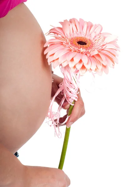 Pregnant woman's tummy — Stock Photo, Image