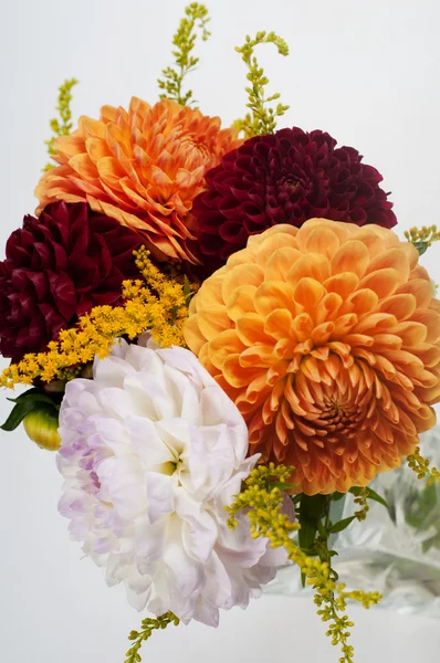 Bouquet di dalie — Foto Stock