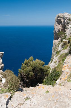 Deniz Cliff ve mavi