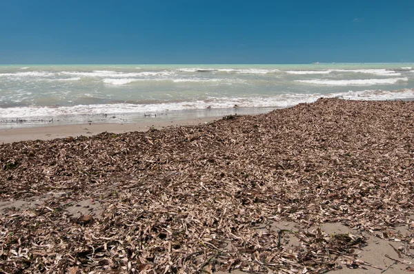 Oplogade beach under lågsäsong, Italien — Stockfoto