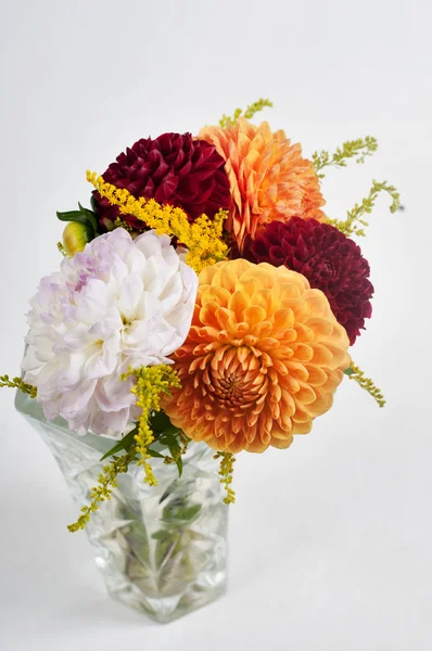 Bouquet of dahlias in vase — Stock Photo, Image