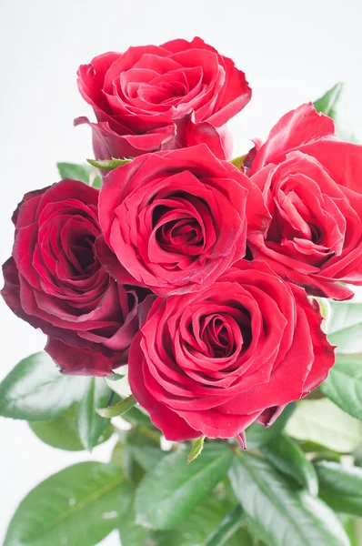Um bando de cinco rosas vermelhas — Fotografia de Stock