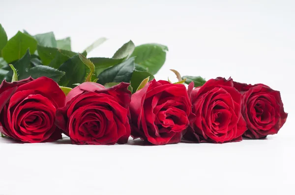 Five red roses — Stock Photo, Image