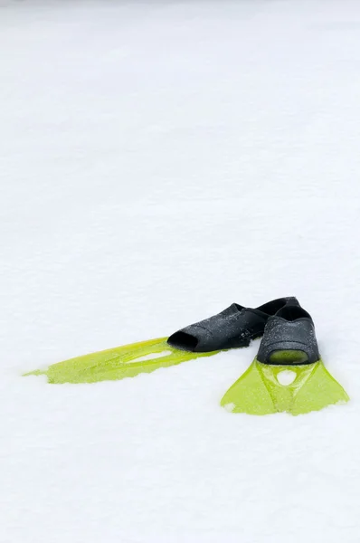 Flippers sdraiato sulla neve, foto concettuale — Foto Stock