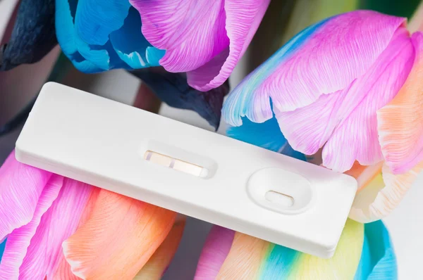 Unusual multicolored tulips and pregnancy test — Stock Photo, Image