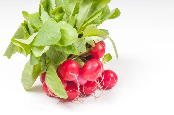 Bunch of fresh radish — Stock Photo, Image