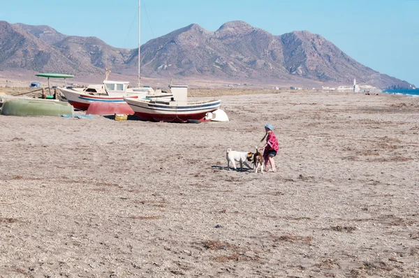 Ragazza piccola che gioca con i cani — Foto Stock