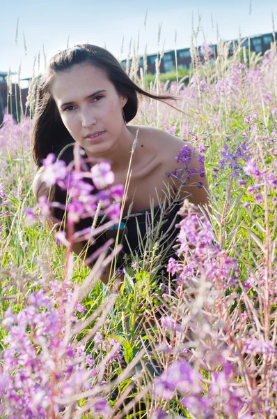 Beautiful brunette woman in field — Stock Photo, Image