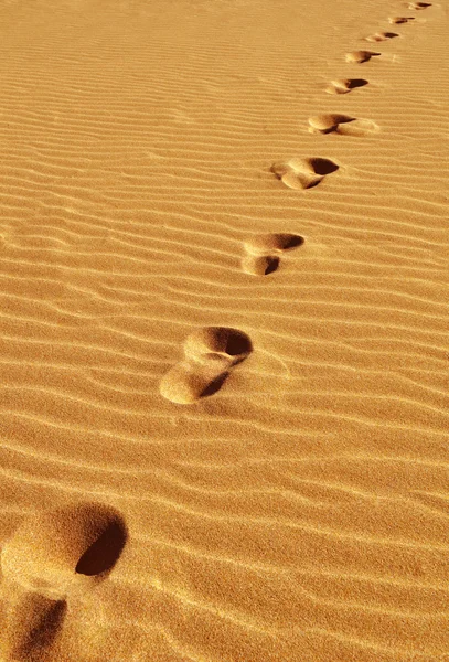 Fotspår på sand — Stockfoto