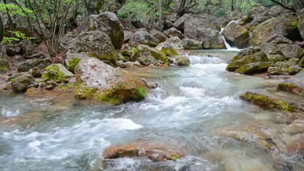 Rivière de montagne