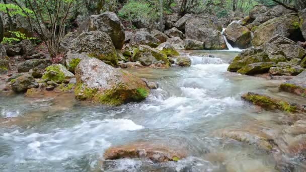 Fiume di montagna — Video Stock