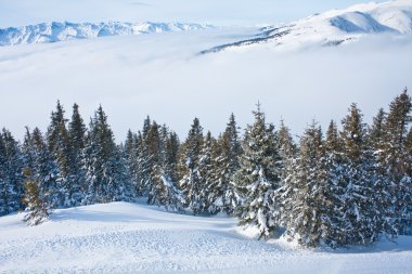 Dağları kar altında. Ski resort zell am bakın. Avusturya