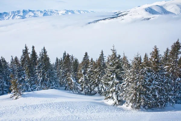 Berg under snön. ski resort zell am finns. Österrike — Stockfoto