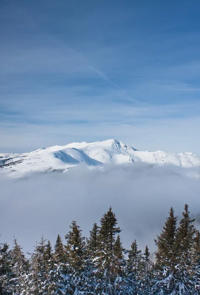 Hory pod sněhem. Ski resort zell am vidět. Rakousko — Stock fotografie