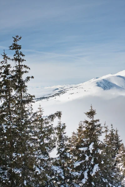 Hory pod sněhem. Ski resort zell am vidět. Rakousko — Stock fotografie