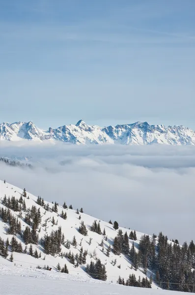 Berge unter Schnee. Skigebiet Zell am See. Österreich — Stockfoto