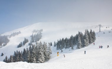 Ski resort zell am bakın. Avusturya