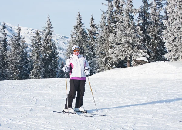 Alpin skidåkare bergen i bakgrunden — Stockfoto