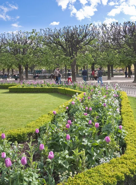 Парк у стен Парижской Богоматери весной — стоковое фото