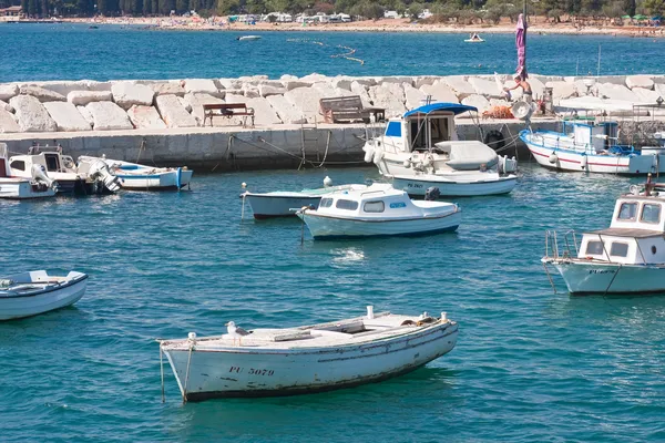 Deniz feneri. Fazana, Hırvatistan — Stok fotoğraf