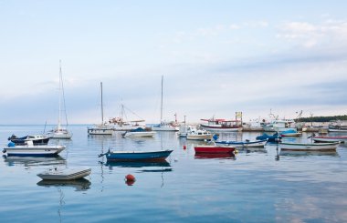 deniz manzarası. Günaydın. Fazana, Hırvatistan