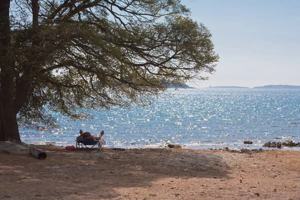 Deniz Burnu — Stok fotoğraf