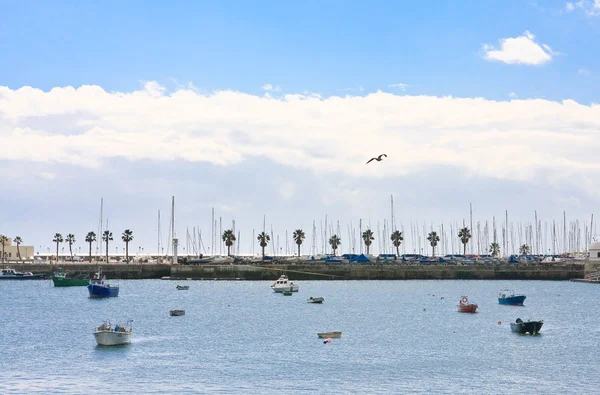 Boats and ships in the harbor town of Cascais. Portugal — Stock Photo, Image