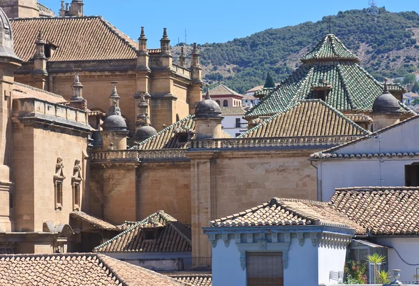 Renässansens katedralen, granada, Andalusien, Spanien — Stockfoto