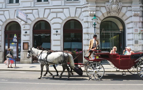 Chariot à chevaux avec des touristes dans les rues de Vienne. Aus ! — Photo