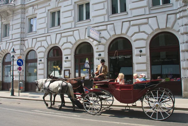 Carruaje tirado por caballos con turistas en las calles de Viena. Aus. —  Fotos de Stock