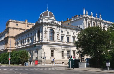 Üniversite. Viyana. Avusturya