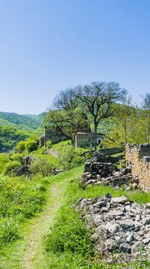Federal kültür mirası alanı 