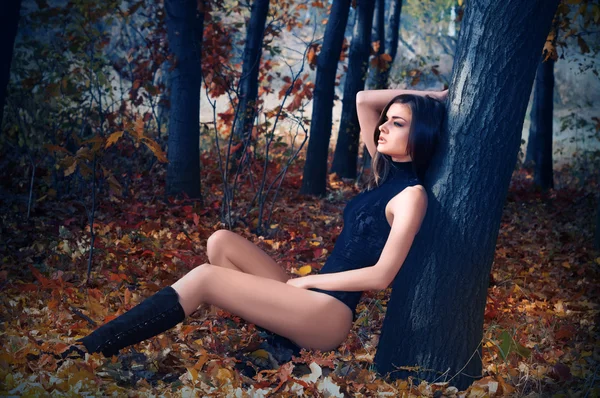 A young beautiful woman in the autumn forest — Stock Photo, Image