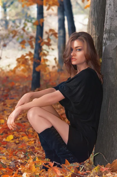 Hot young woman in autumn park Stock Image