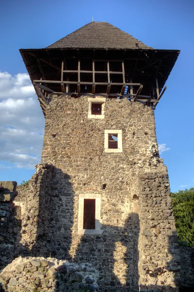 Nevitsky Castle ruins — Stock Photo, Image