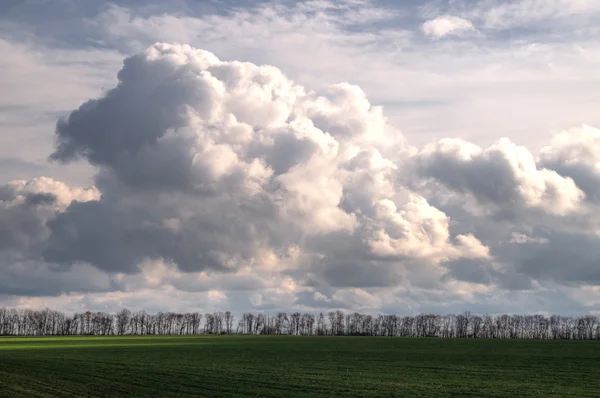 Springtime landscape Stock Photo