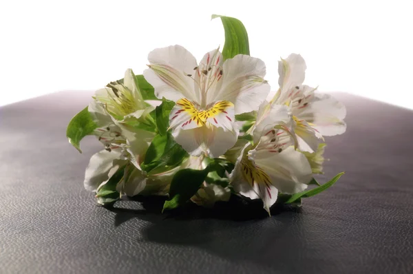 Bouquet of colorful flowers — Stock Photo, Image