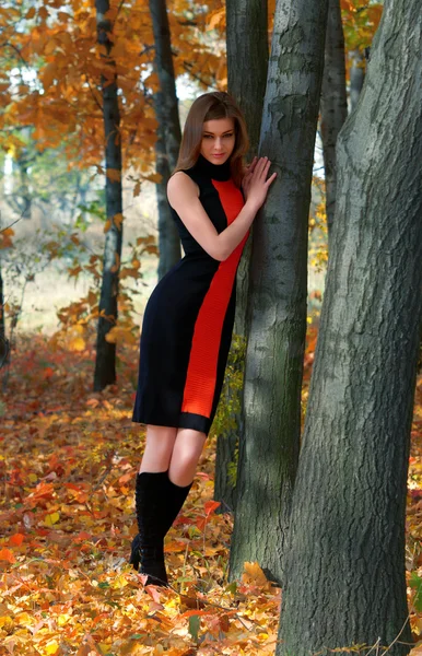 Hot young woman in autumn park — Stock Photo, Image