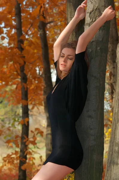 Mladá krásná žena v podzimním lese — Stock fotografie