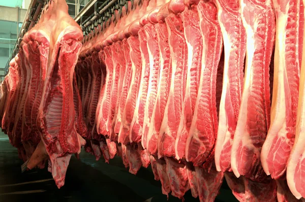 Carne fresca em uma fábrica de corte frio — Fotografia de Stock