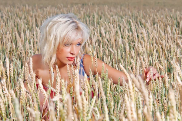 Belle femme dans un champ de blé — Photo