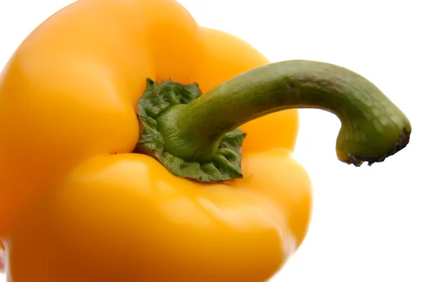 Yellow sweet pepper on a white background Stock Image