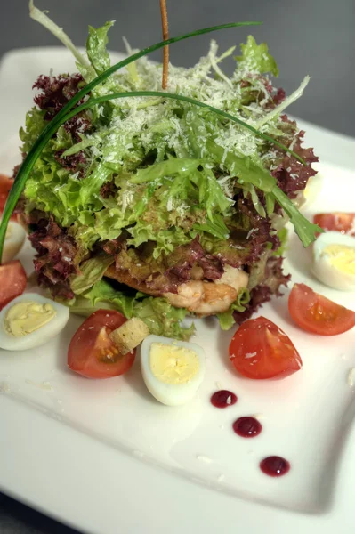 Sıcak salata sebze ve et — Stok fotoğraf