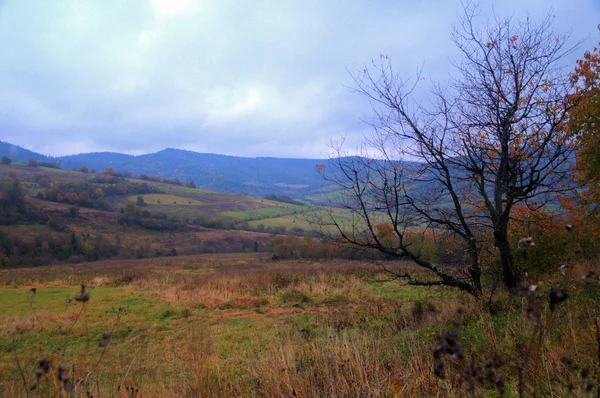 Paisaje de un valle montañoso en los Cárpatos —  Fotos de Stock