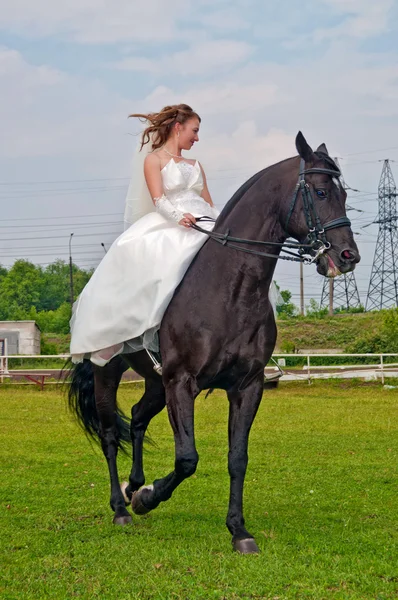 Fiancee in a wedding dress astride on a horse — Stock Photo, Image