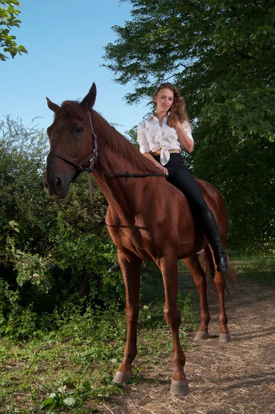 Bela jovem mulher a cavalo — Fotografia de Stock