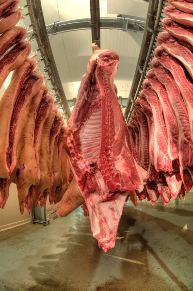 Viande fraîche dans une usine de charcuterie — Photo