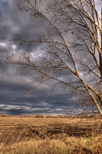 Yağmur bulutları, güneş ışınları, alacakaranlık, fırtınalı gökyüzü — Stok fotoğraf